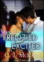 Frenzied and Excited: Illicit Encounters 2