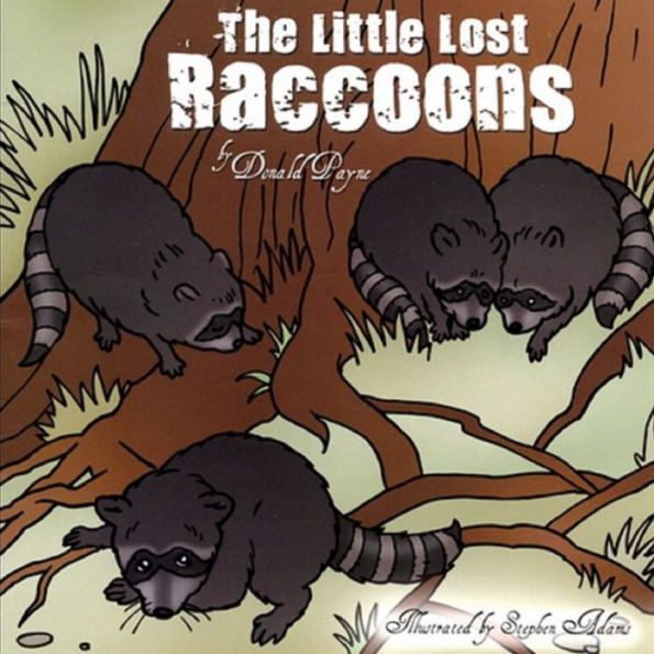 The Little Lost Raccoons