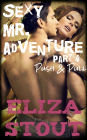 Push & Pull: Sexy Mr. Adventure, Part 4 (An Erotic BDSM Romance)