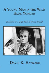 Title: A Young Man in the Wild Blue Yonder, Author: David Hayward