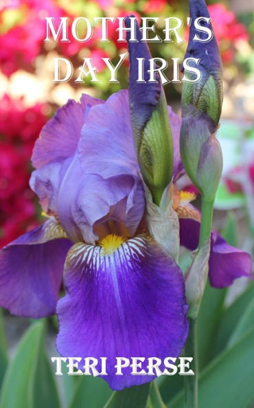 Mother's Day Iris