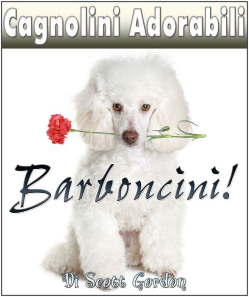 Cagnolini Adorabili: I Barboncini