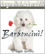 Cagnolini Adorabili: I Barboncini