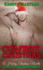 Cowboy Christmas (Down Under Cowboy Series)