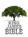 King James Bible Touch - KJV