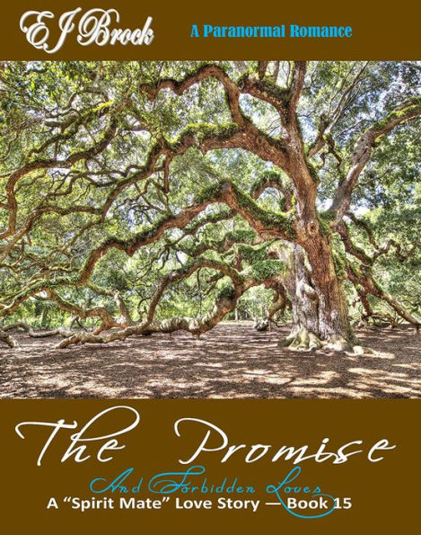 The Promise and Forbidden Loves