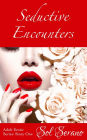 Seductive Encounters (Forbidden Romance, Infidelity, Graphic Sex Play)