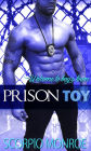 Prison Toy