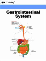 Title: Gastrointestinal System (Human Body), Author: IML Training