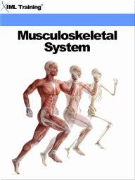 Title: Musculoskeletal System (Human Body), Author: IML Training