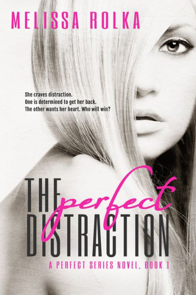 The Perfect Distraction (Book One of The Perfect Series)