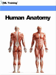 Title: Human Anatomy (Human Body), Author: IML Training