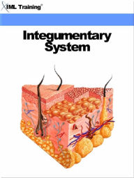 Title: Integumentary System (Human Body), Author: IML Training