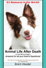 Animals Life after Death and Pet Reincarnation- Answers for your heart's Questions!