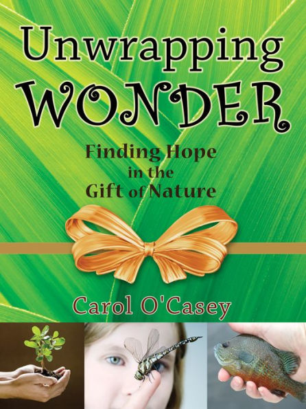 Unwrapping Wonder : Finding Hope in the Gift of Nature