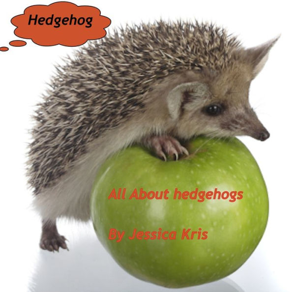 All About Hedgehog