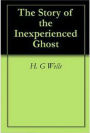 The Story of the Inexperienced Ghost