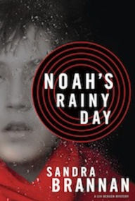 Title: Noah's Rainy Day, Author: Sandra Brannan