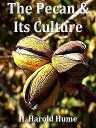 Title: The Pecan and its Culture, Author: H. Harold Hume