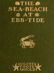 Title: The Sea-beach at Ebb-tide, Author: Augusta Foote Arnold