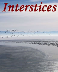 Title: Interstices, Outdoors, Out West, Out of the Ordinary & Memorable Desert and Mountain Moments, Author: Mark Doherty