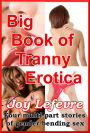 BIG BOOK OF TRANNY EROTICA: Four multi-part stories of Gender-bending sex