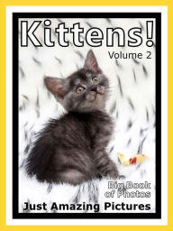 Title: Just Kitten Photos! Big Book of Photographs & Pictures of Baby Cats & Cat Kittens, Vol. 2, Author: Big Book of Photos