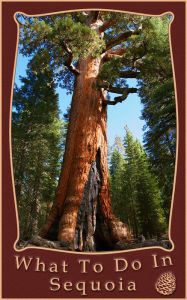 Title: What To Do In Sequoia And Kings Canyon, Author: Richard Hauser