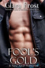 Fool's Gold A New Adult Romance