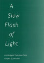 A Slow Flash of Light: An Anthology of Poems about Poetry