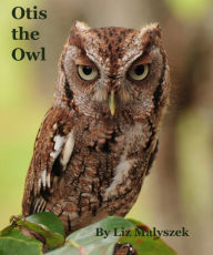 Title: Otis the Owl, Author: Liz Malyszek