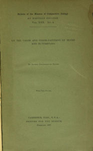 Title: On the color and color-patterns of moths and butterflies, Author: Alfred Goldsborough Mayor