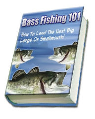Title: Bass Fishing 101, Author: Augustin