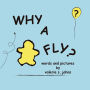 Why A Fly 01