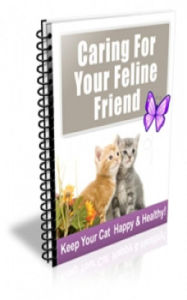 Title: How To Caring For Your Feline Friend, Author: Jimmy Cai