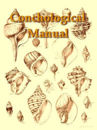 Title: A Conchological Manual, Author: George Brettingham Sowerby