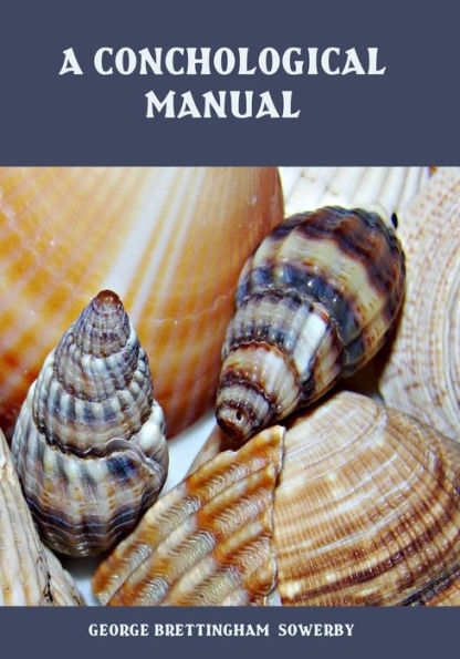 A Conchological Manual (Illustrated)