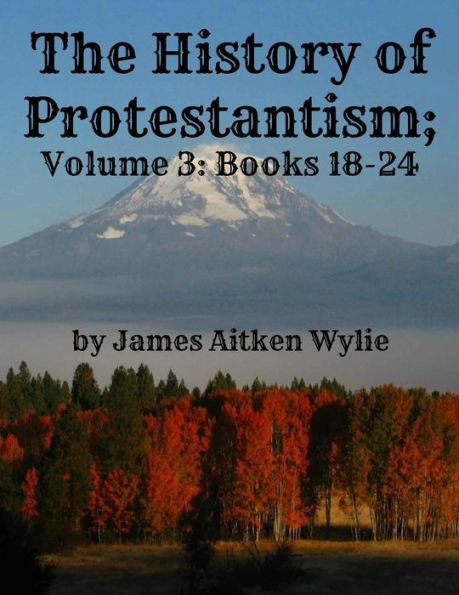 The History of Protestantism; Volume 3: Books 18-24