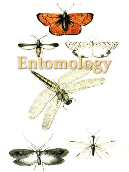 An Introduction to Entomology: Or Elements of the Natural History of Insects, Fifth Edition, Volume 2 (of 4)