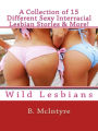 A Collection of 15 Different Sexy Interracial Lesbian Stories & More!