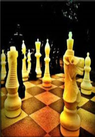 Title: Best Sellers 99 Cent Nook Book Chess ( Checkers, Chess, Board Games, Stragedy, fencing, lattice, fence, frame, game, play, online game, gaming jon, play station, play ), Author: Resounding Wind Publishing