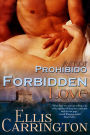 Forbidden Love (Amor, #1)