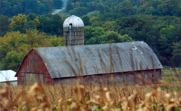 Scary Bachelor Farmer