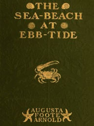 Title: The Sea-beach at Ebb-tide (Illustrated), Author: Augusta Foote Arnold