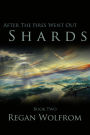 After The Fires Went Out: Shards (Book Two of the Unconventional Post-Apocalyptic Series)