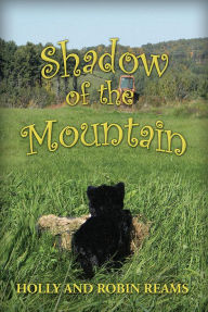 Title: Shadow of the Mountain, Author: Robin Reams