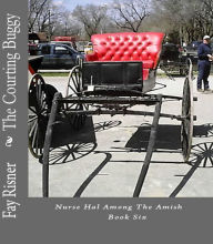 Title: The Courting Buggy Nurse Hal Among The Amish, Author: Fay Risner