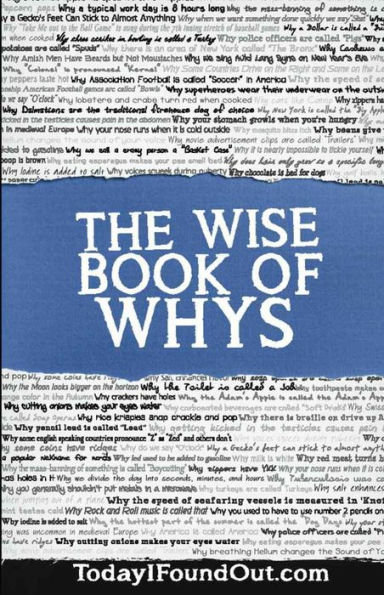 The Wise Book Of Whys