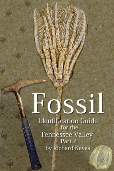 Fossil Identification Guide for the Tennessee Valley Part 2