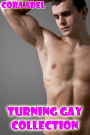 Turning Gay Collection (Gay Erotica)